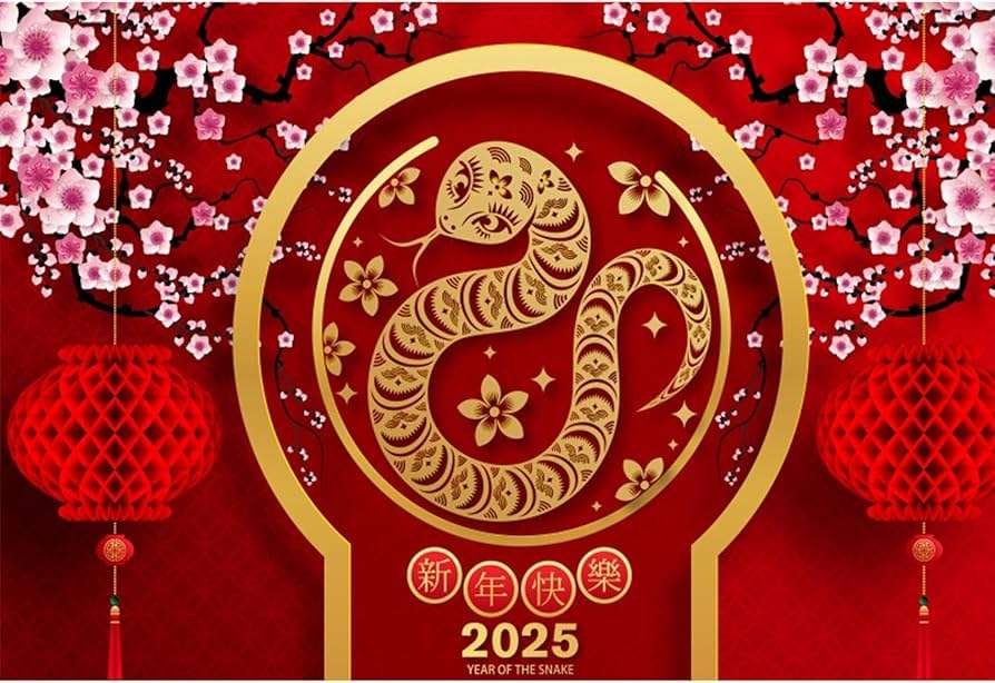 Spring Festival 2025