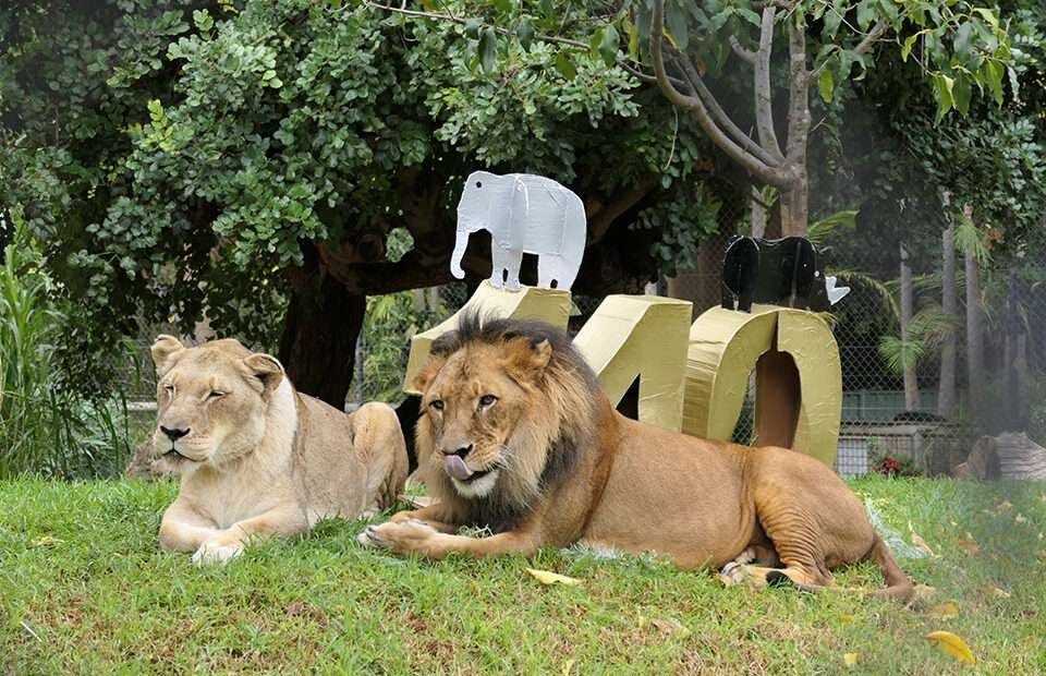 Adelaide Zoo