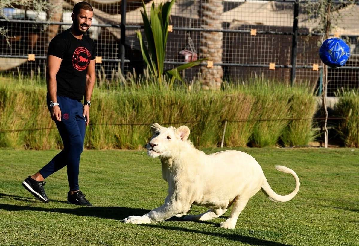 Al Buqaish Private Zoo (Wolf Encounters)