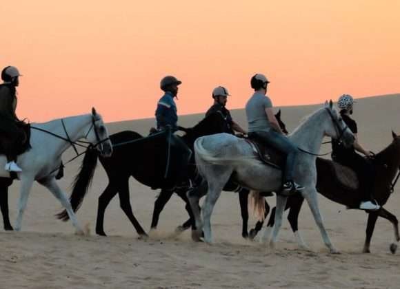 Al Dhabi Horse Riding