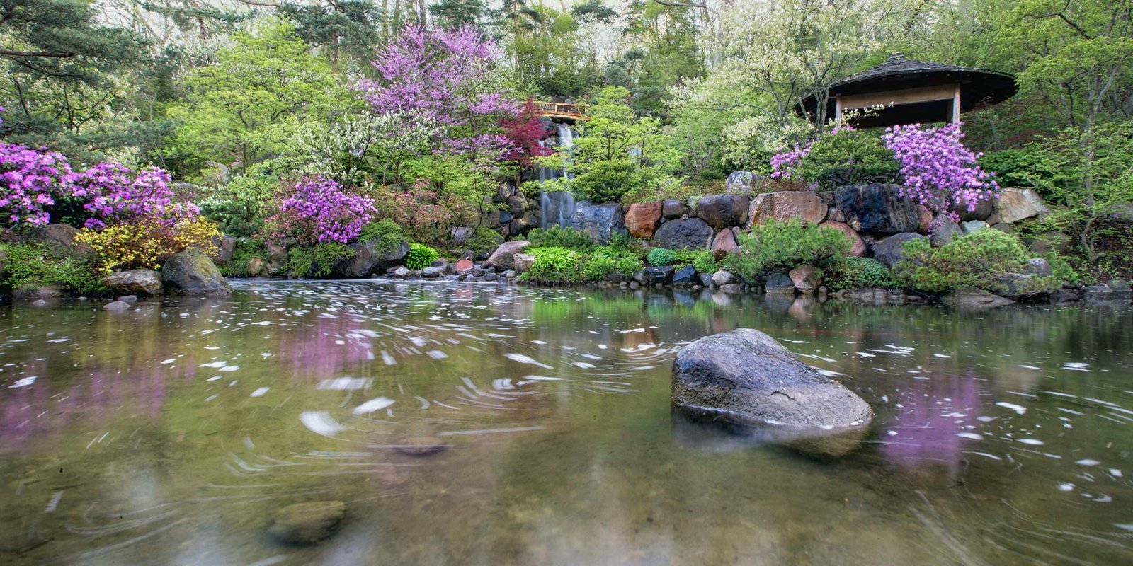 Anderson Japanese Gardens in USA, Midwest Anderson Japanese Gardens in USA, Midwest