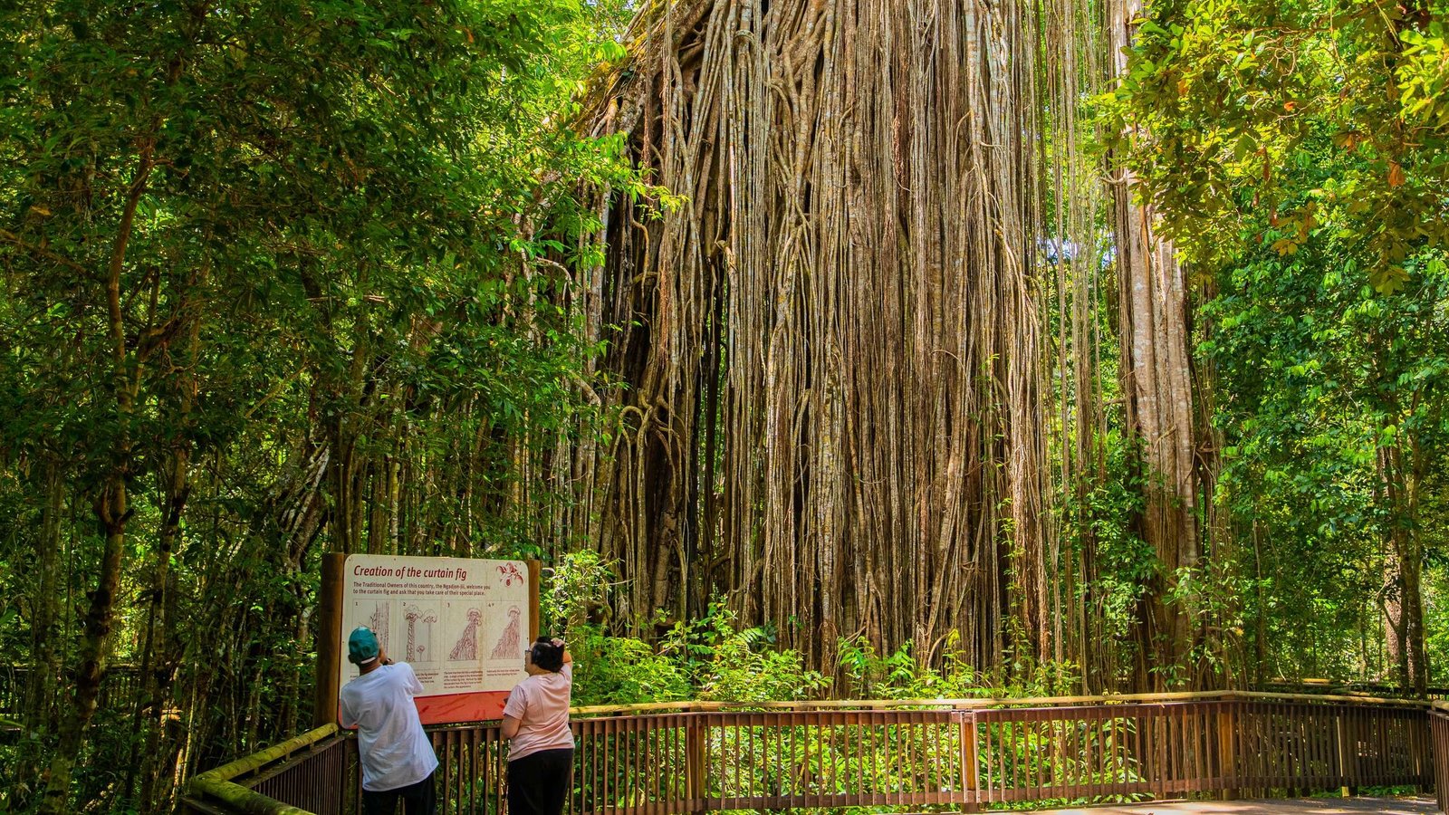 Atherton Tablelands Tour
