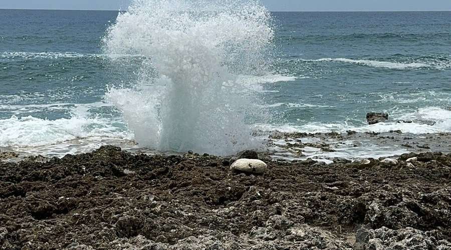 Blowholes