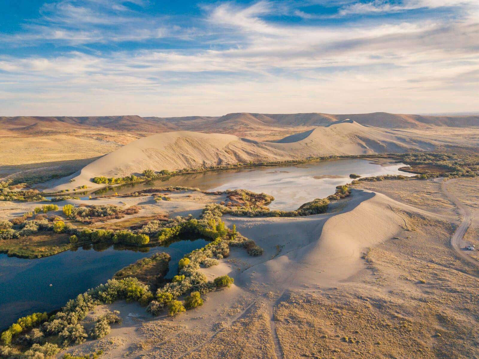 Bruneau Dunes State Park in USA, West