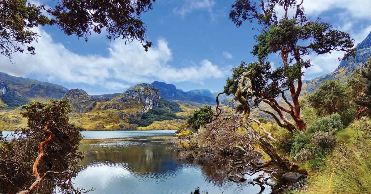 Cajas National Park 1 Explore Cajas National Park