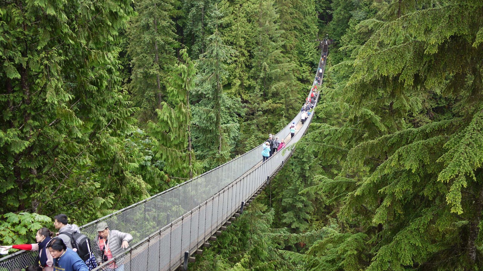 Capilano Suspension Bridge 1 Capilano Suspension Bridge