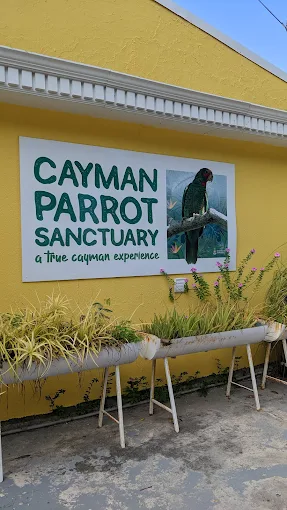 Cayman Parrot Sanctuary 3 Cayman Parrot Sanctuary