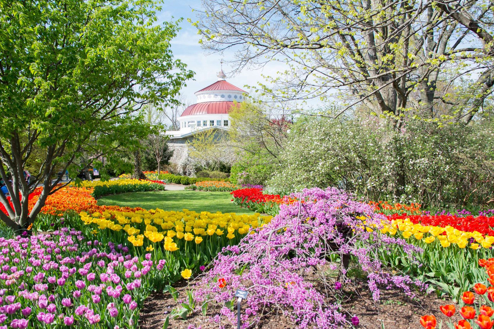 Cincinnati Zoo & Botanical Garden in USA, Midwest