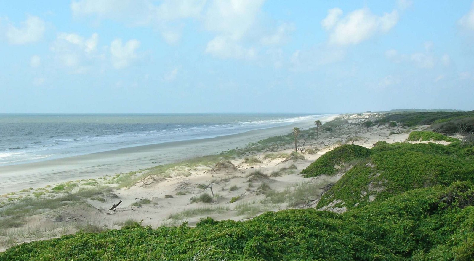 Cumberland Island National Seashore Cumberland Island National Seashore