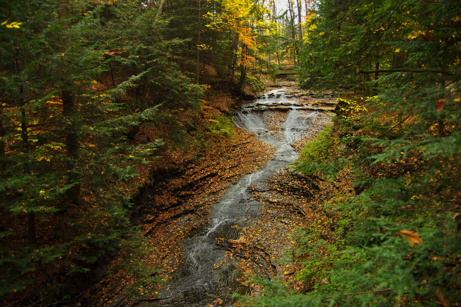 Cuyahoga Valley National Park in USA, Midwest