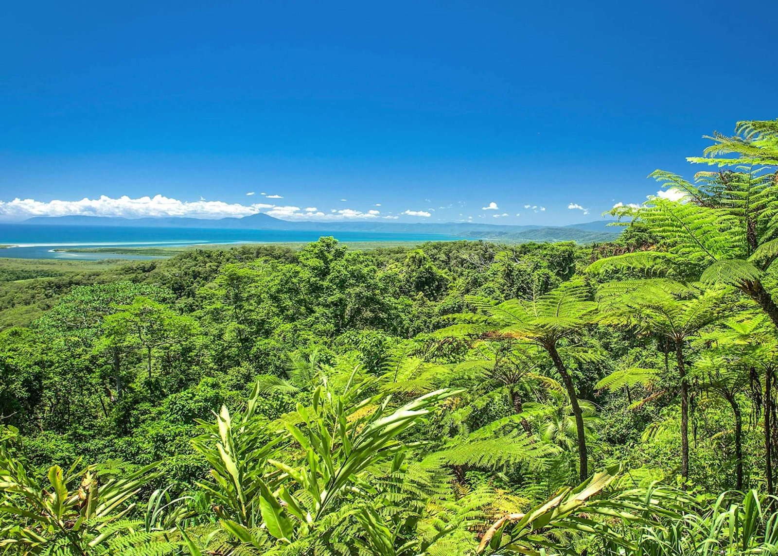 Daintree Rainforest Exploration Country 1 Daintree Rainforest Exploration
