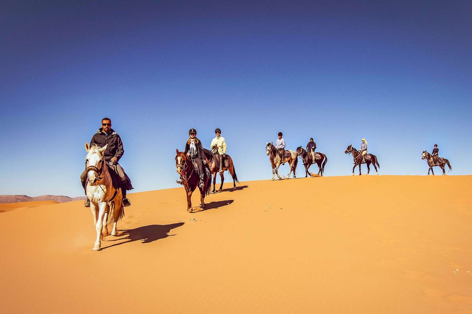 Desert Horseback Riding Desert Horseback Riding