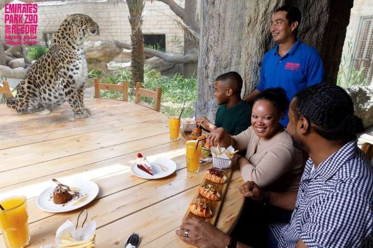 Emirates Park Zoo – Big Cat & Wolf Feeding Emirates Park Zoo – Big Cat & Wolf Feeding