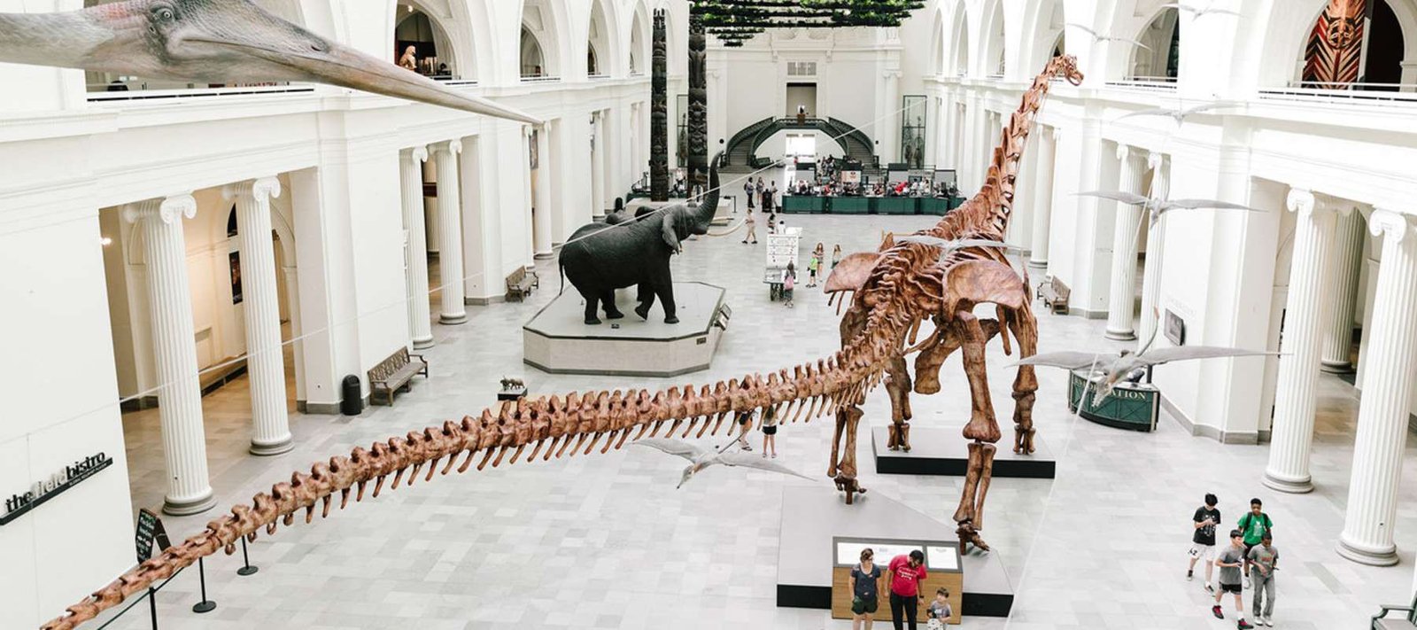 Field Museum in USA, Midwest