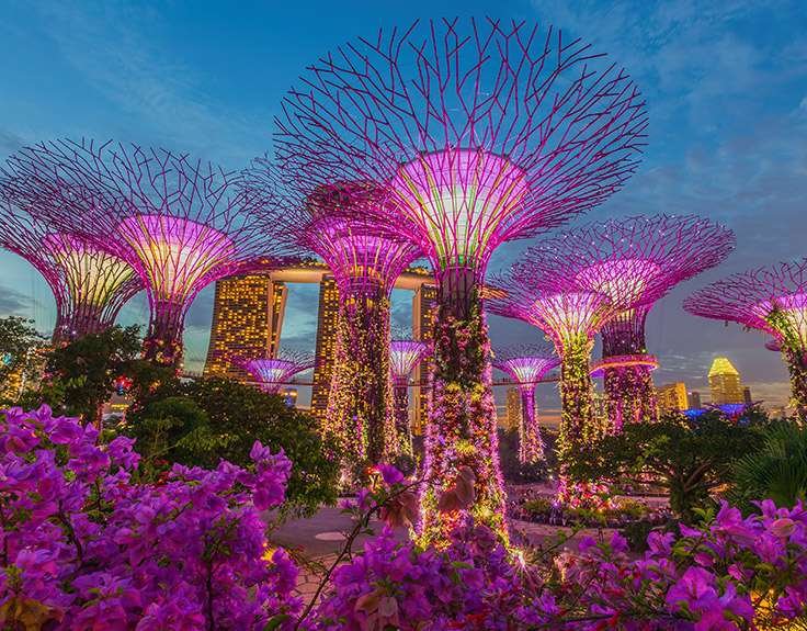 Gardens by the Bay in Singapore Gardens by the Bay in Singapore