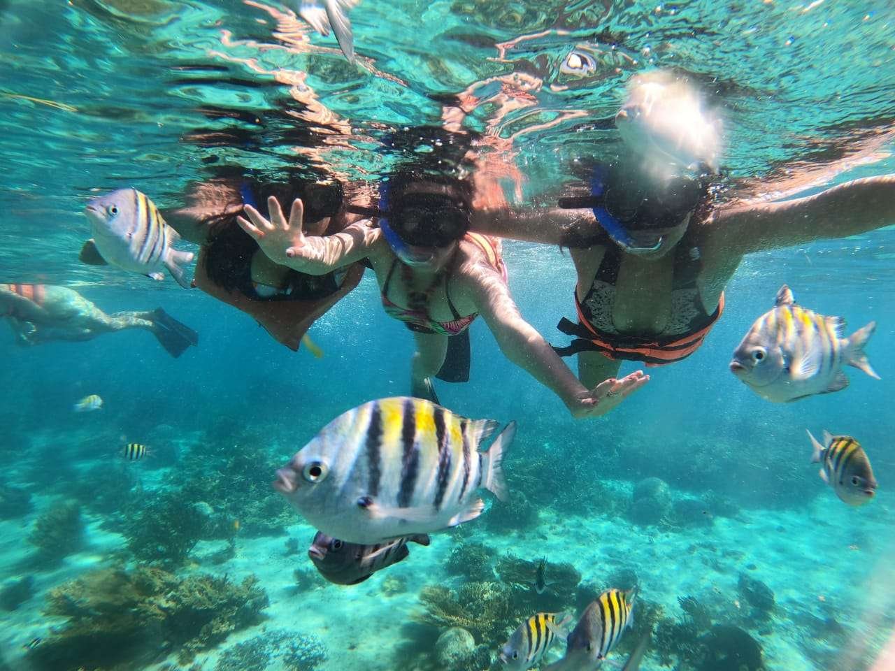 Isla Mujeres – Island Relaxation & Snorkeling in Mexico