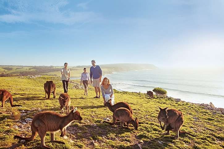 Kangaroo Island 2 Kangaroo Island