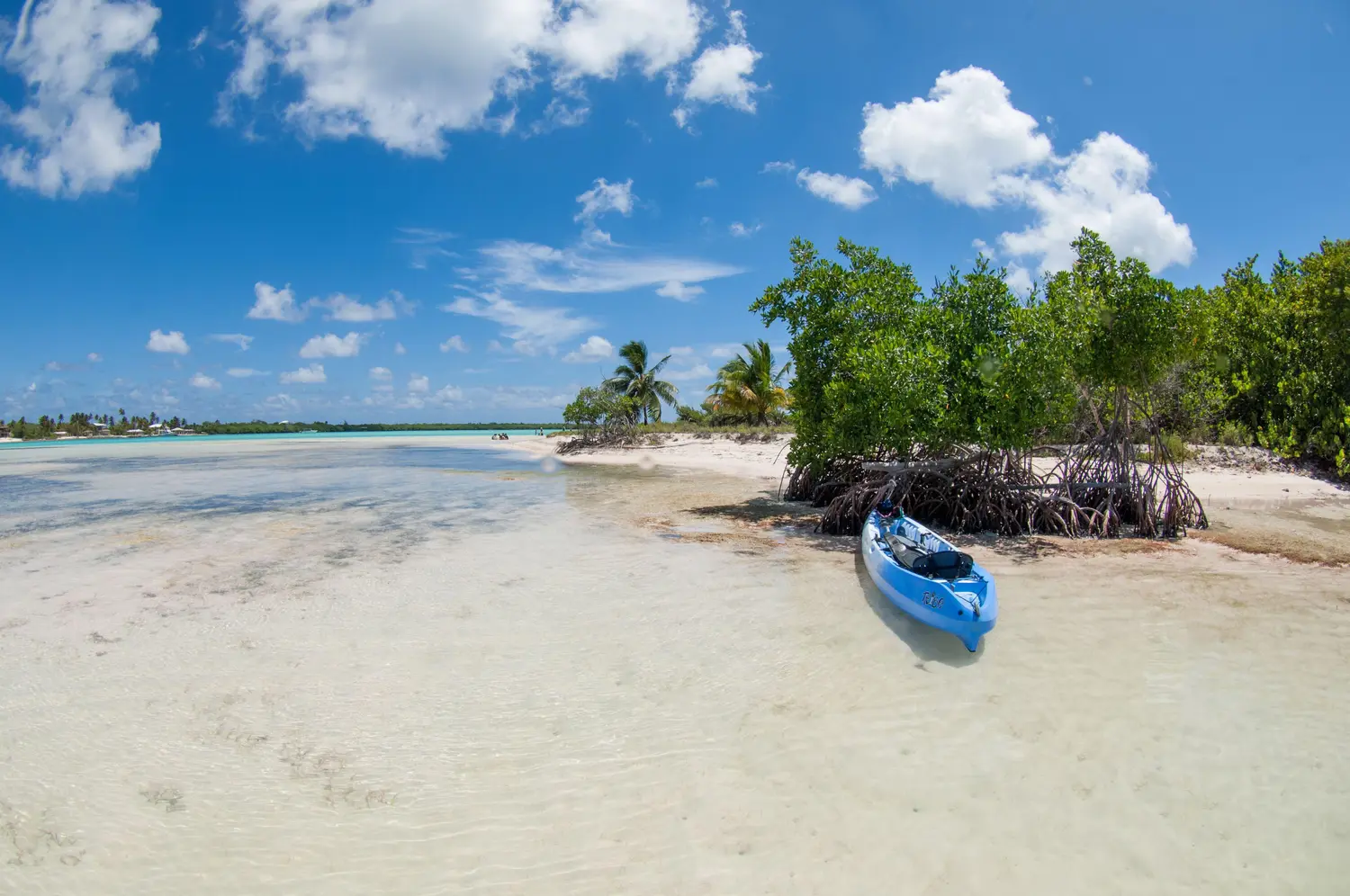 Kayaking in the Cayman Islands 1 Kayaking in the Cayman Islands