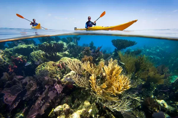Kayaking the Coral Reefs 1 Kayaking the Coral Reefs