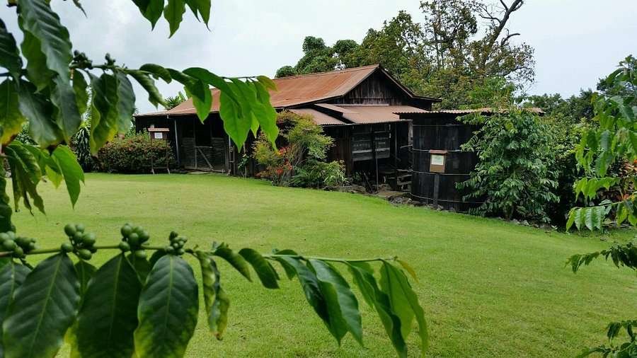 Kona Coffee Living History Farm Kona Coffee Living History Farm