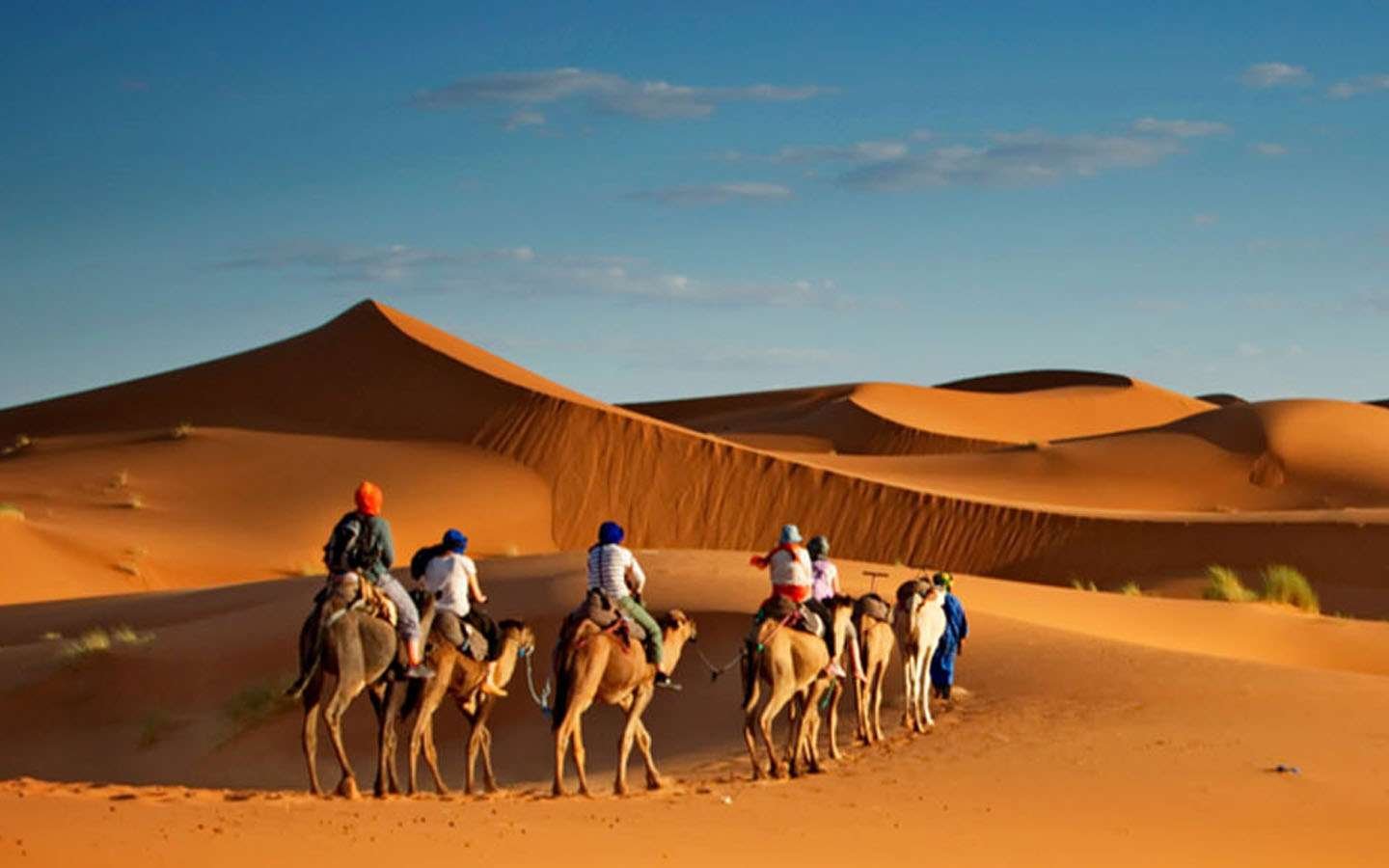Liwa Desert Adventure Liwa Desert Adventure