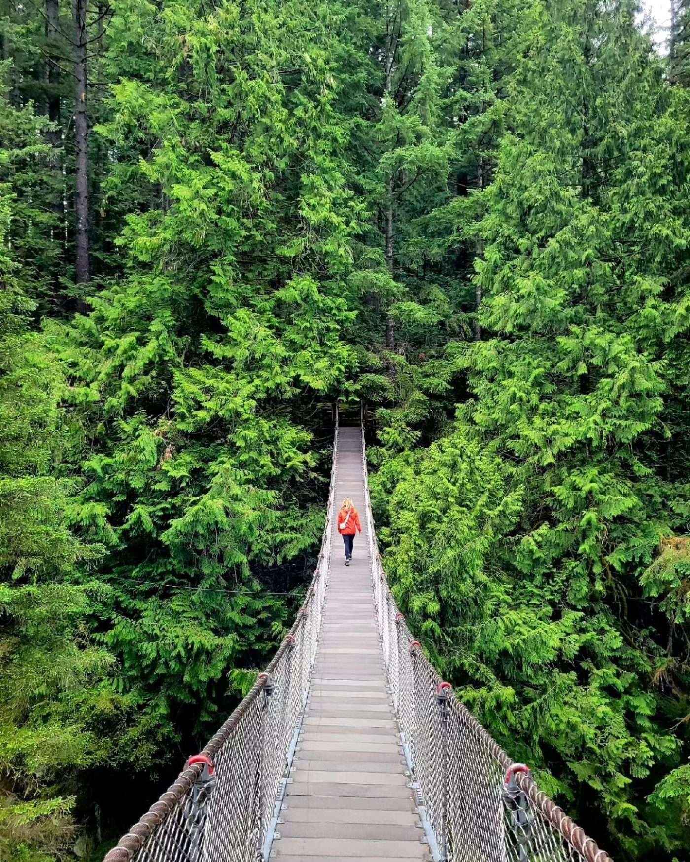 Lynn Canyon Park 1 Lynn Canyon Park