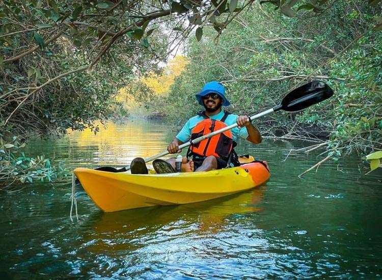 Mangrove Kayaking Mangrove Kayaking