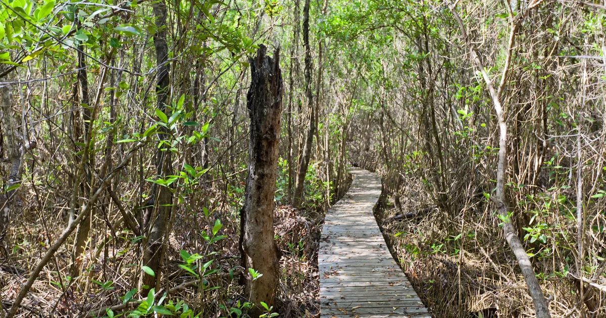 Mastic Trail 1 Mastic Trai