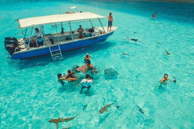 Mo’orea – Lagoon Snorkeling 2 Mo'orea – Lagoon Snorkeling