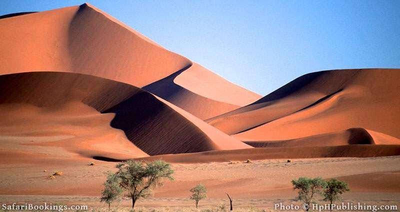 Namib Desert in Namibia Namib Desert in Namibia