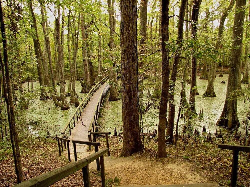 Natchez Trace Parkway Natchez Trace Parkway