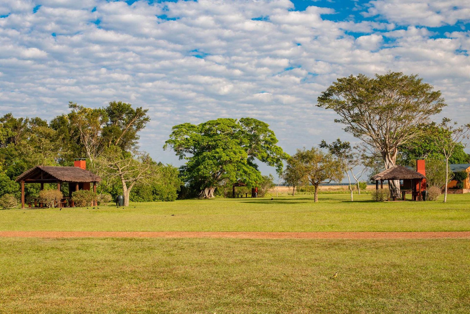 Parque Nacional Iberá 1 Parque Nacional Iberá