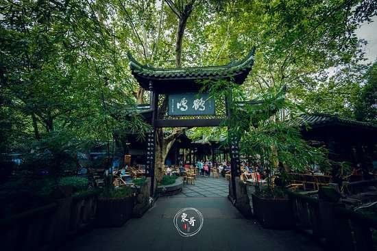 People’s Park & Tea House 2 People's Park & Tea House