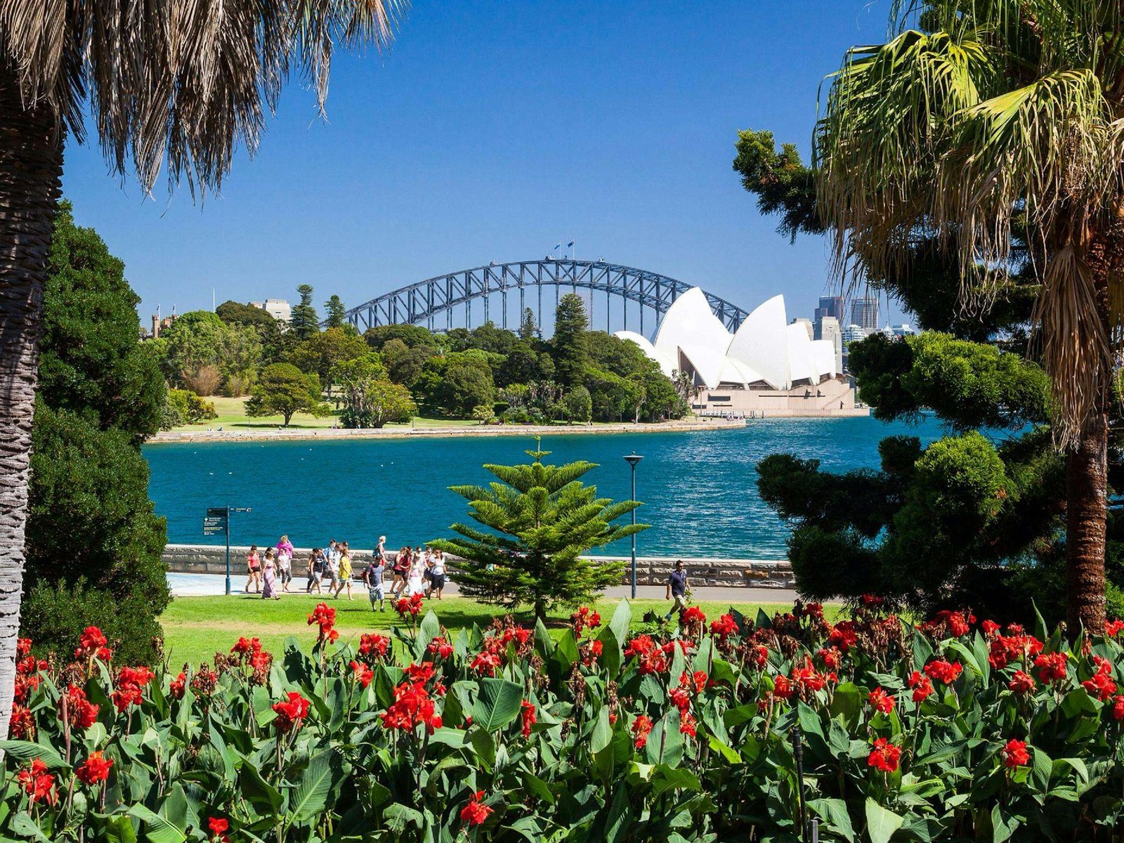 Royal Botanic Garden Sydney 2 Royal Botanic Garden