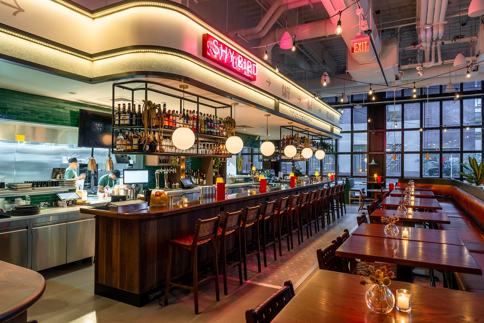 Shy Bird Coworking Space in USA Northeast