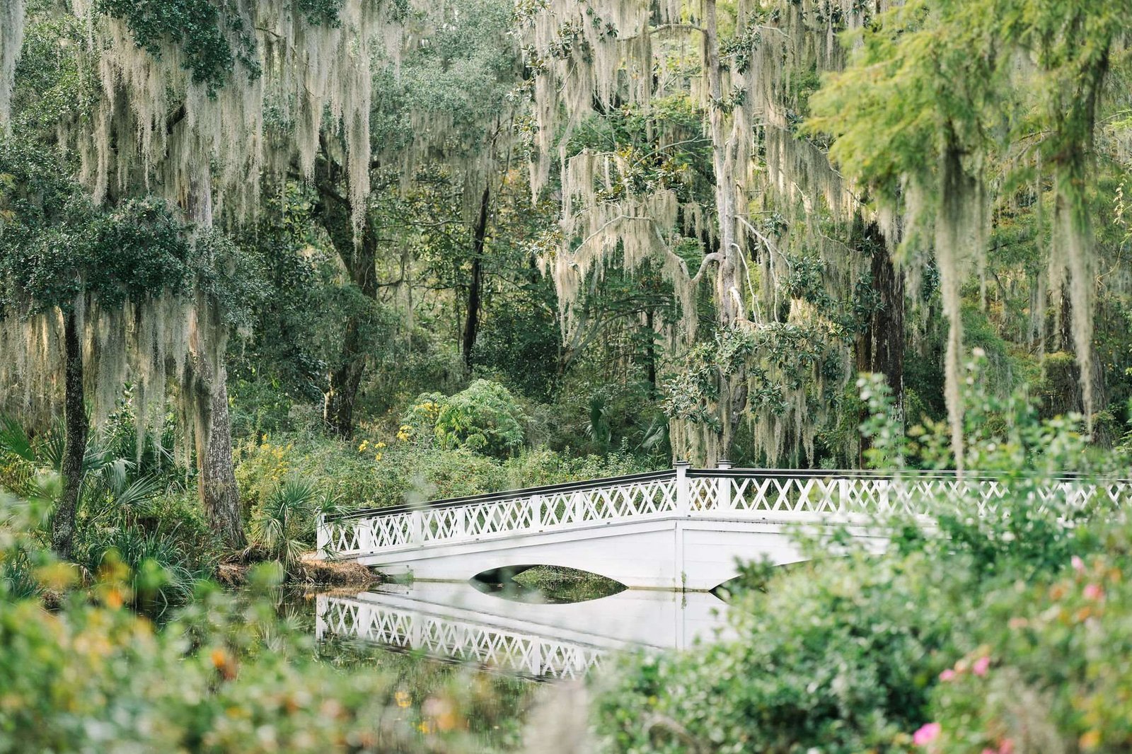 South Carolina Plantation Gardens South Carolina Plantation Gardens