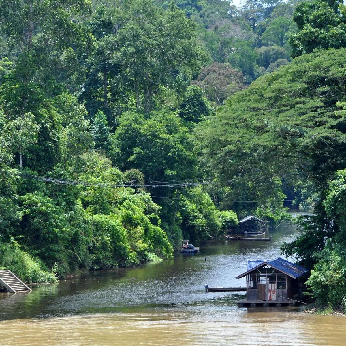 Taman Negara National Park in Malaysia Taman Negara National Park in Malaysia