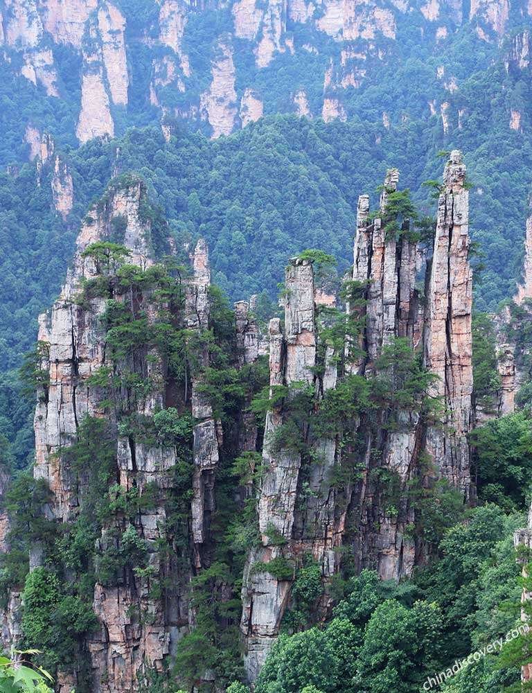 Tianzi Mountain 1 Tianzi Mountain