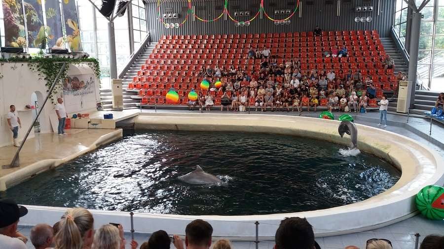 Varna Dolphinarium 1 Varna Dolphinarium