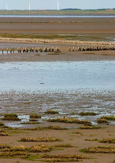 Wadden Sea National Park 2 Wadden Sea National Park