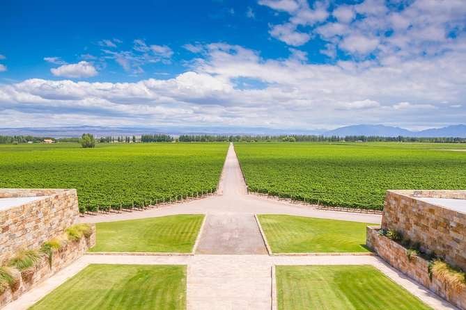 Wine Tours in Maipú Luján de Cuyo 1 Wine Tours in Maipú / Luján de Cuyo