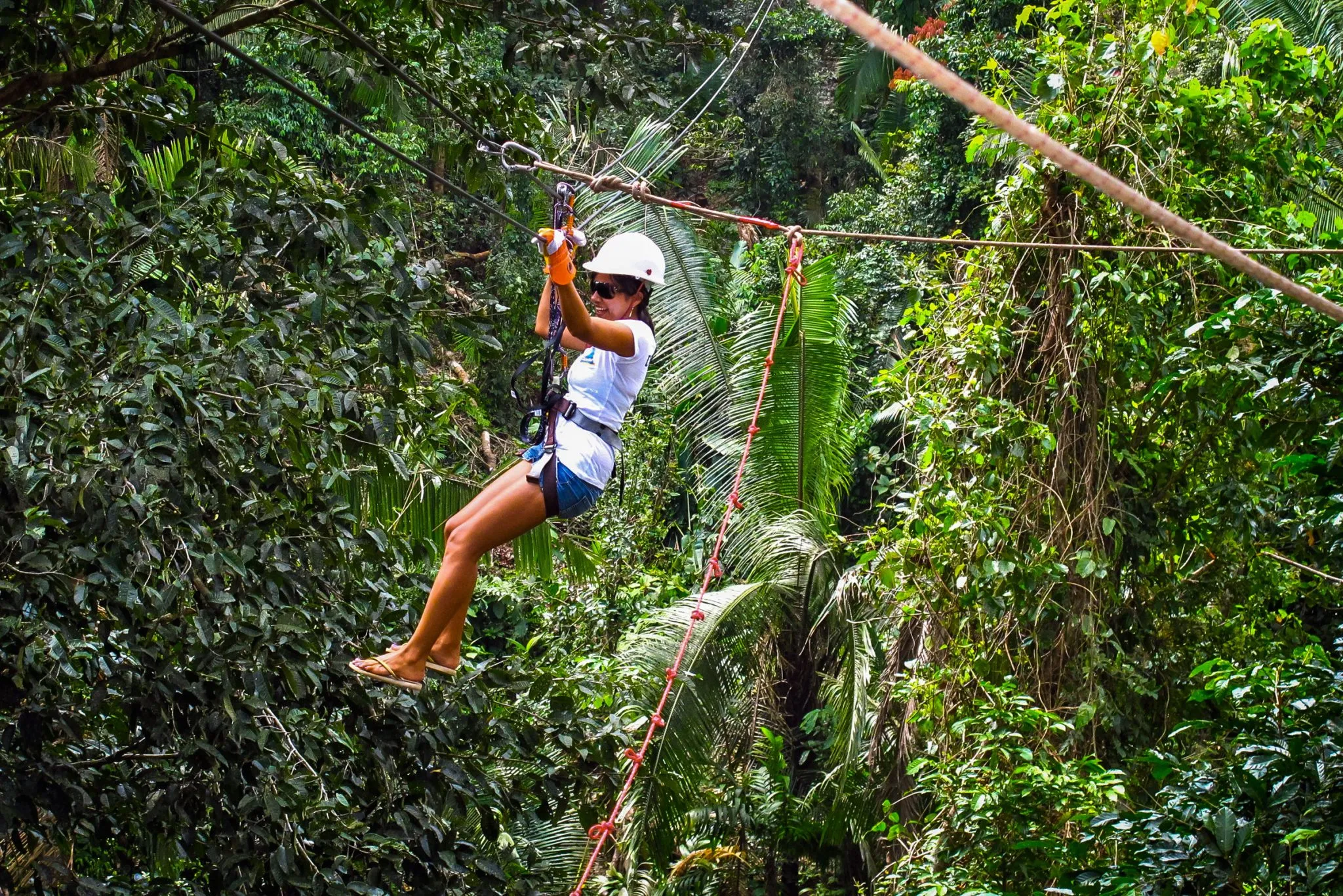 Zip-lining in Mayflower Bocawina National Park 2 Zip-lining in Mayflower Bocawina National Park