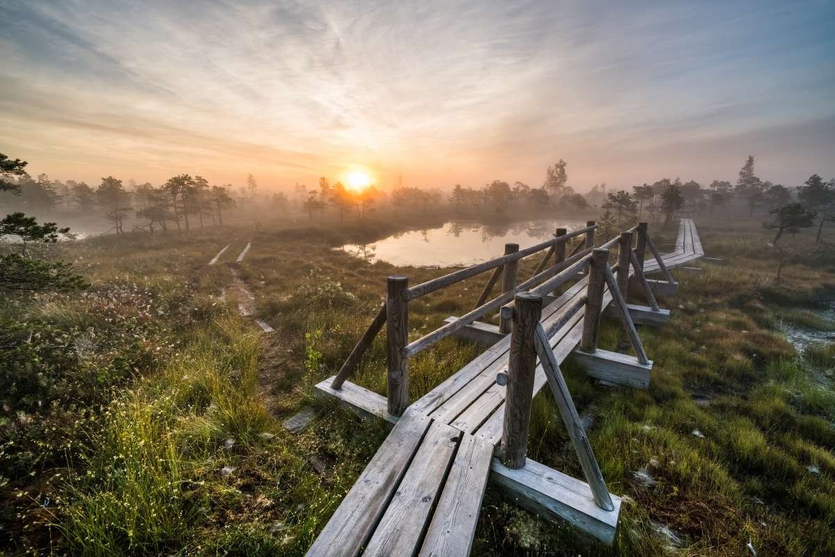 Kemeri Bog Boardwalk in Latvia Kemeri Bog Boardwalk in Latvia