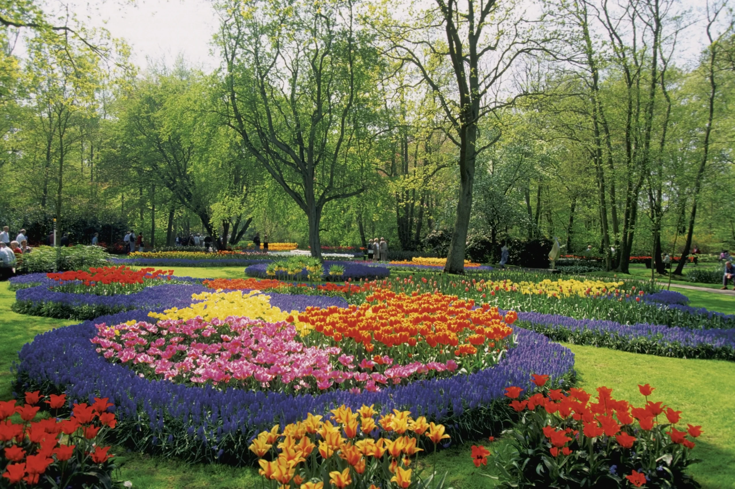 Keukenhof Gardens – Lisse (near Amsterdam) in Netherlands