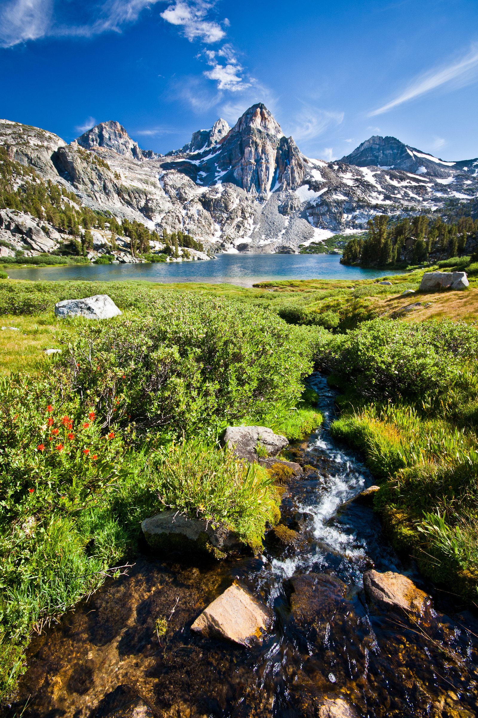Sequoia & Kings Canyon National Parks