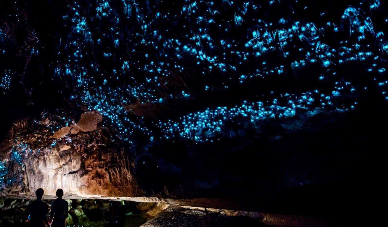 Waitomo Glowworm Caves in New Zealand Waitomo Glowworm Caves in New Zealand