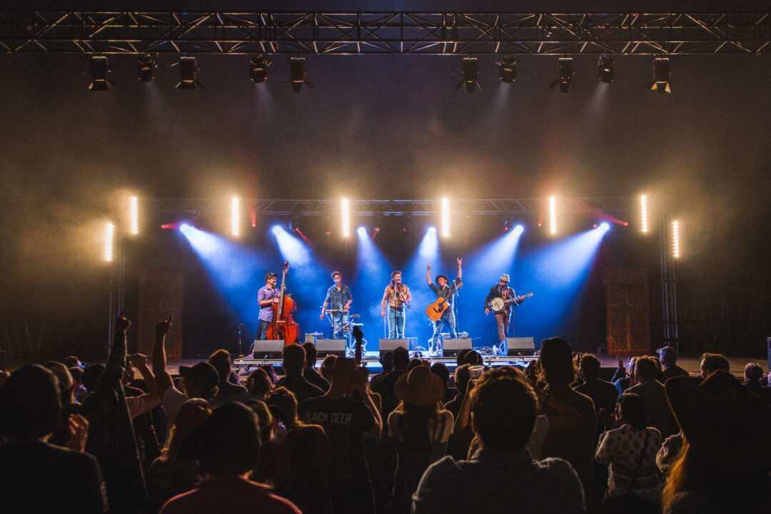 Black Deer In The City 2025