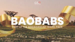 Baobabs, Madagascar