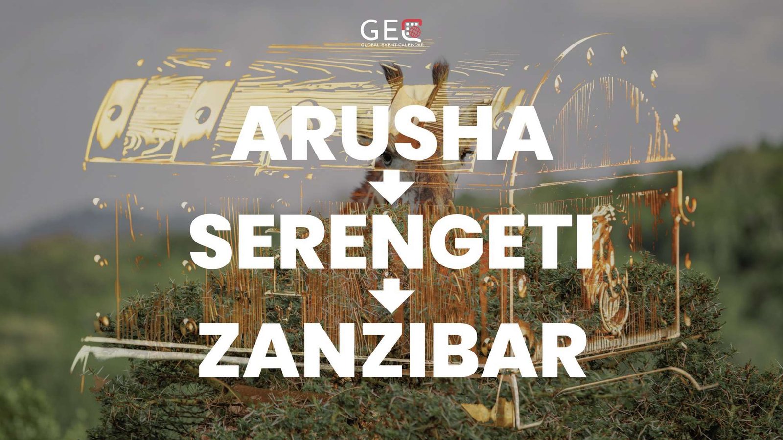 Arusha + Serengeti + Zanzibar